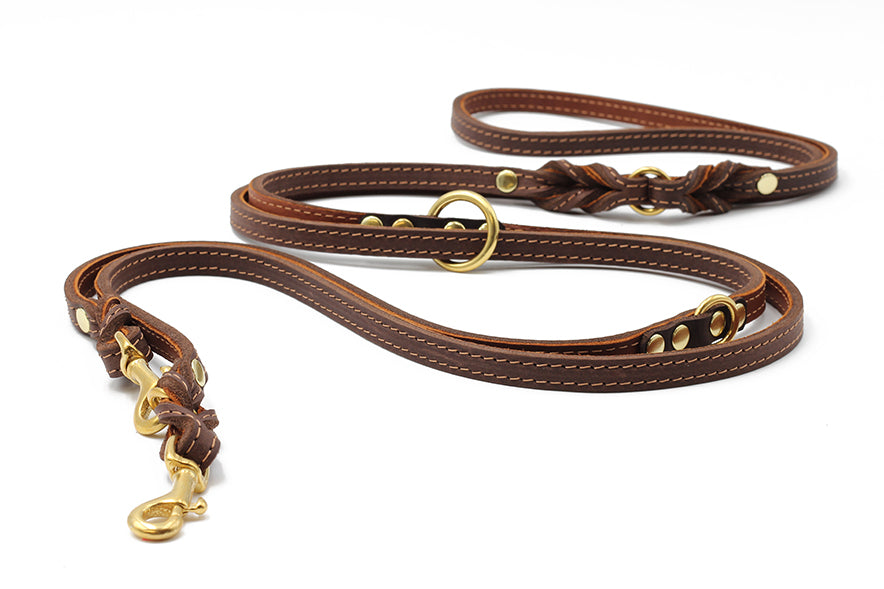 Lederleine Klassik Premium 3m Gold