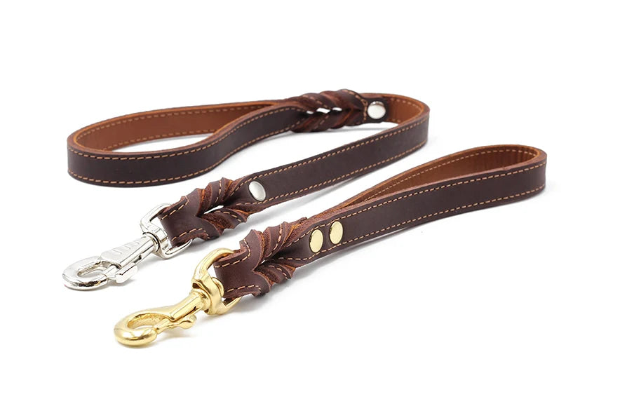 Kurzführer Klassik Premium