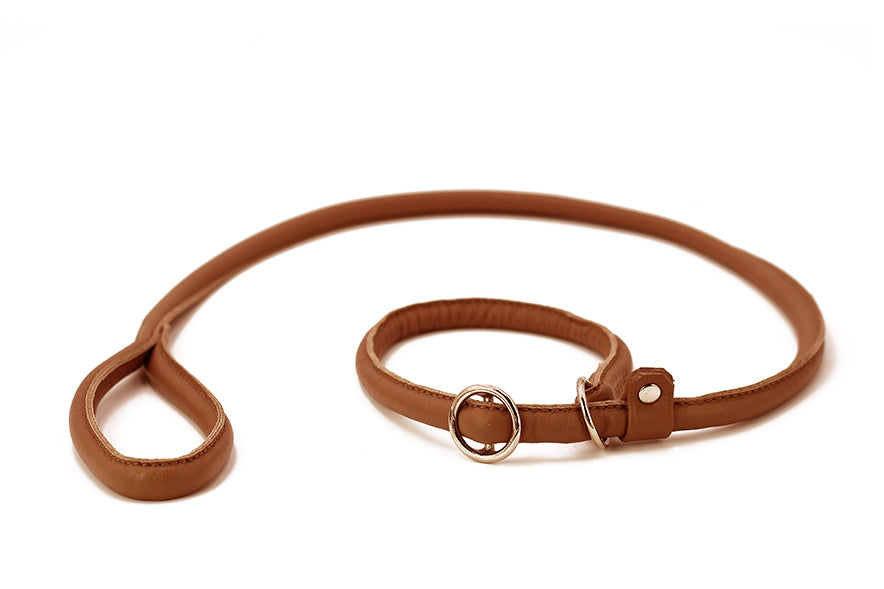 Retriever - Leine Cognac