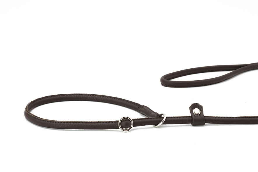 Showleine verstellbar für große Hunde