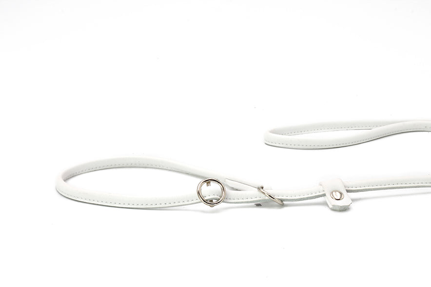 Showleine verstellbar für große Hunde