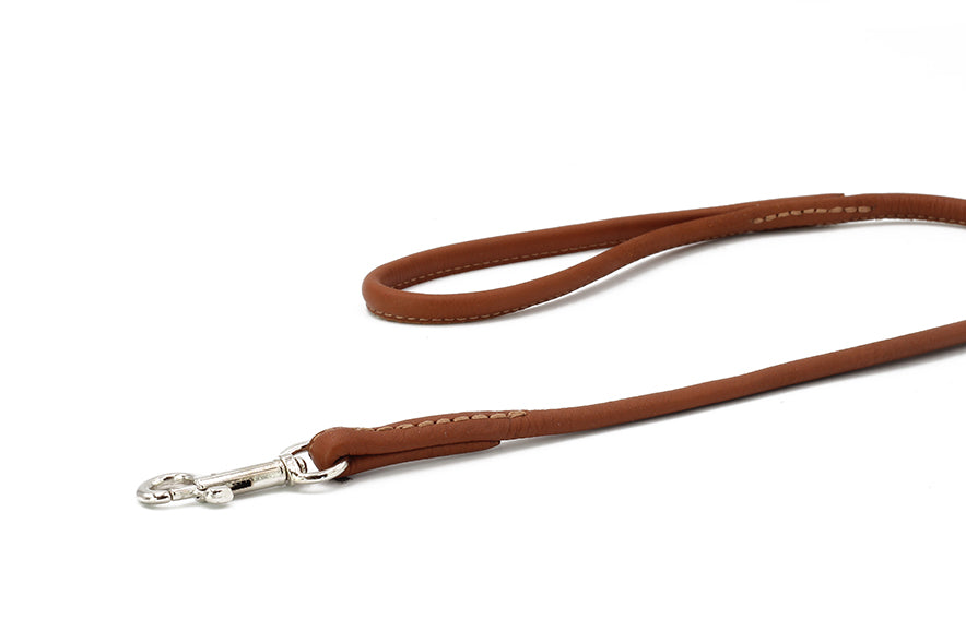 Showleine für große Hunde