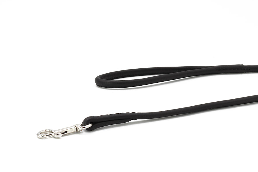 Showleine für große Hunde