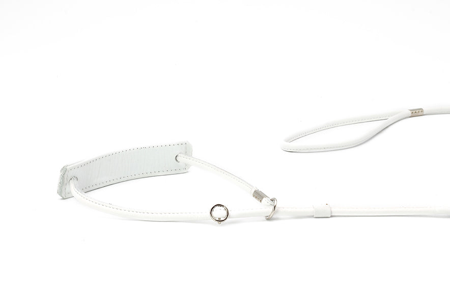 Showleine Fein verstellbar