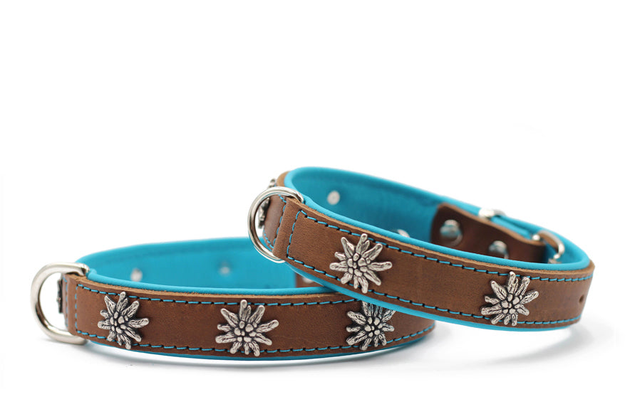 Halsband Edelweiss