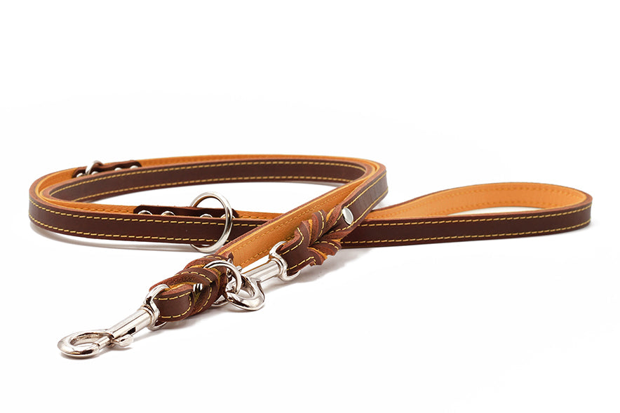 Lederleine Klassik Premium 2m Mokka
