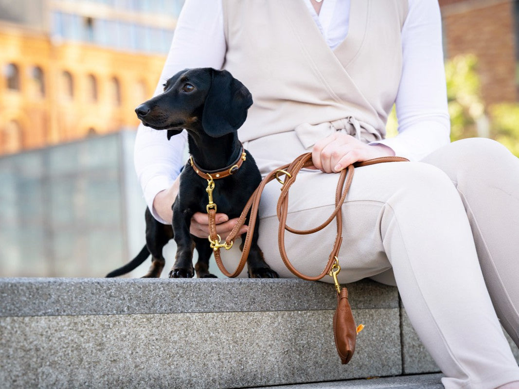 Lederleine Rundgenäht 3m Gold