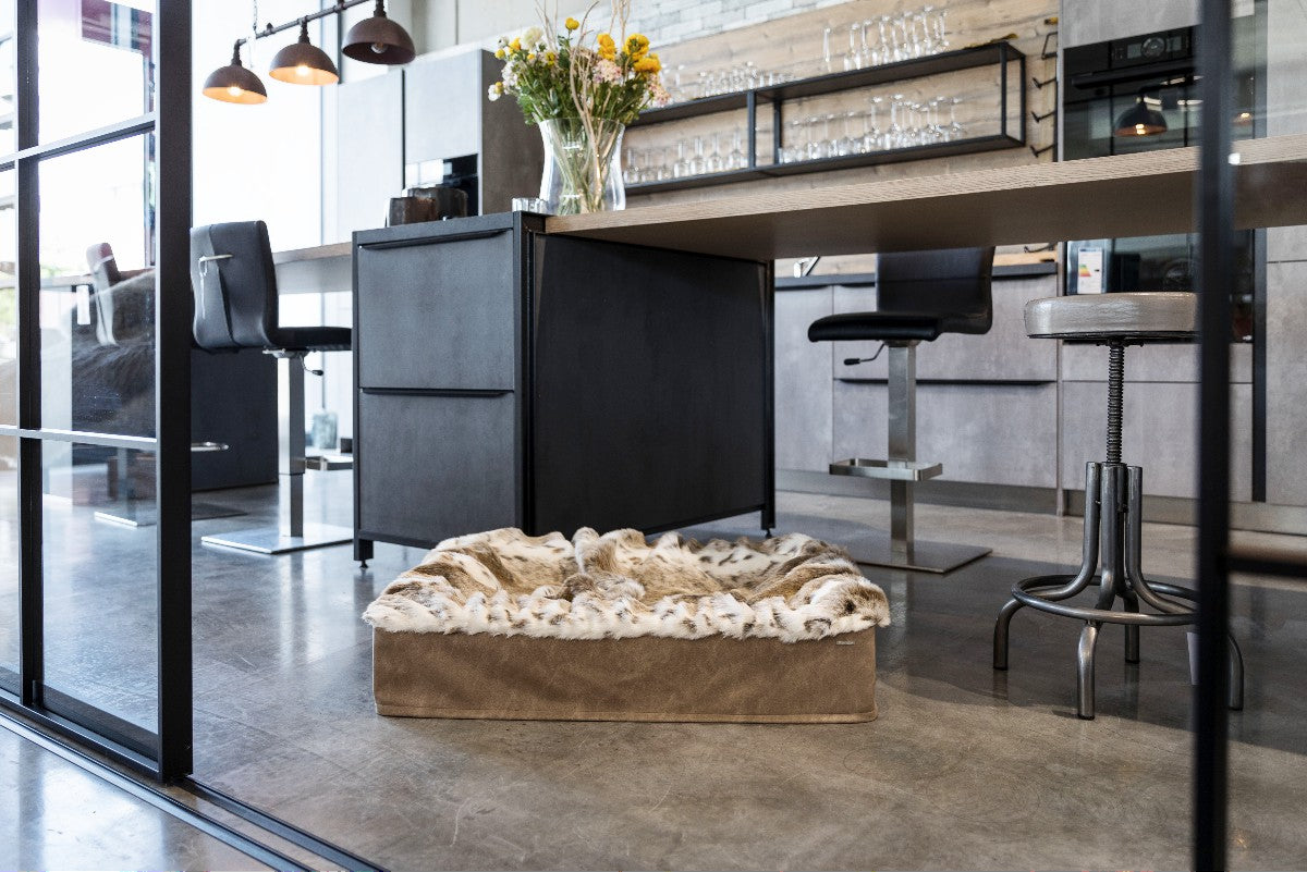 Hundebett Buddelbox®