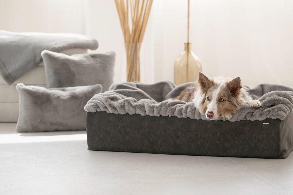 Hundebett Buddelbox Grau