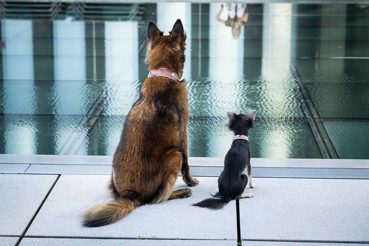 Halsband Nesthäkchen
