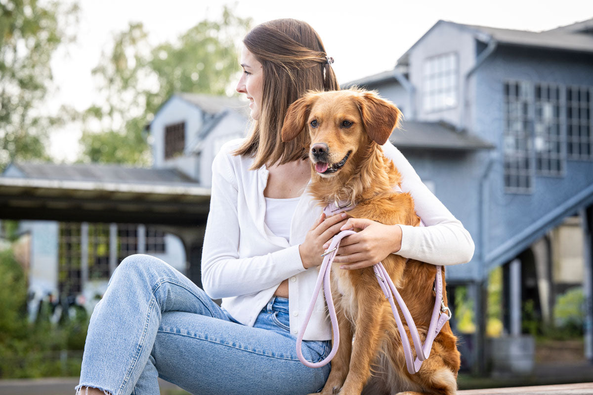 Lederleine rundgenäht Sunrise