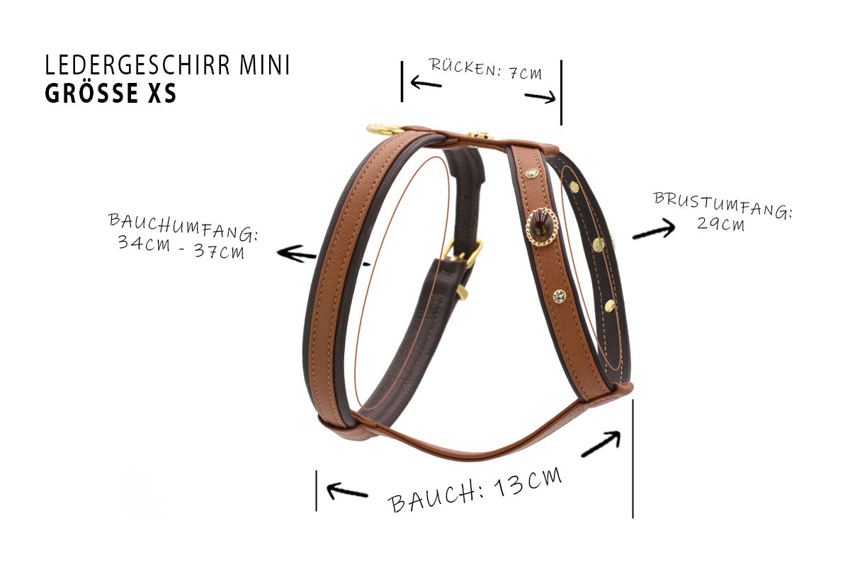 Ledergeschirr Mini
