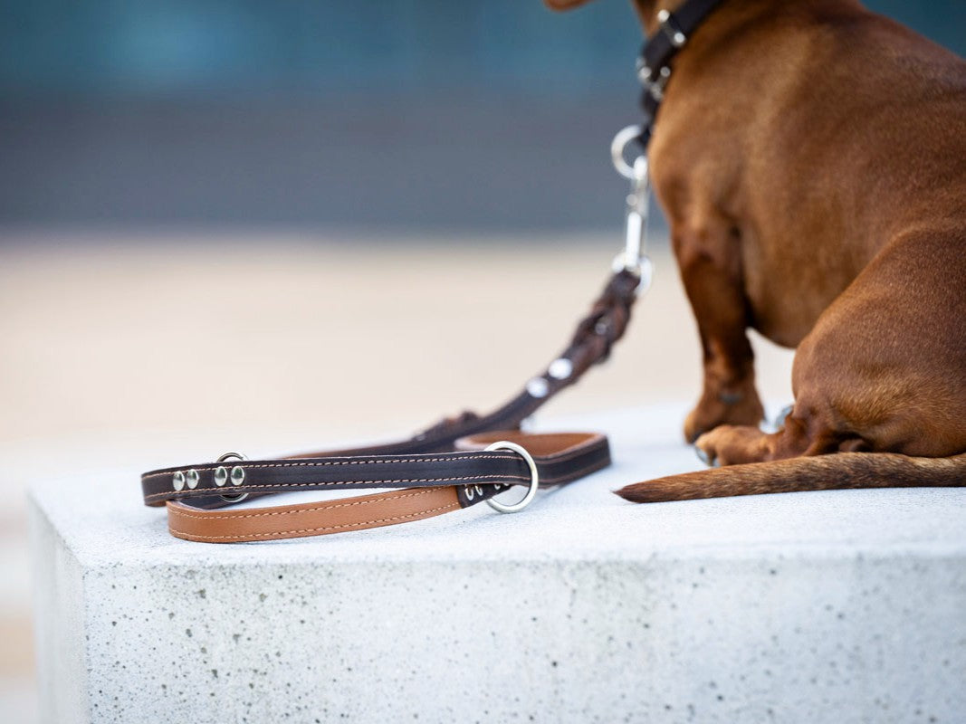 Lederleine Klassik Premium 2m Silber