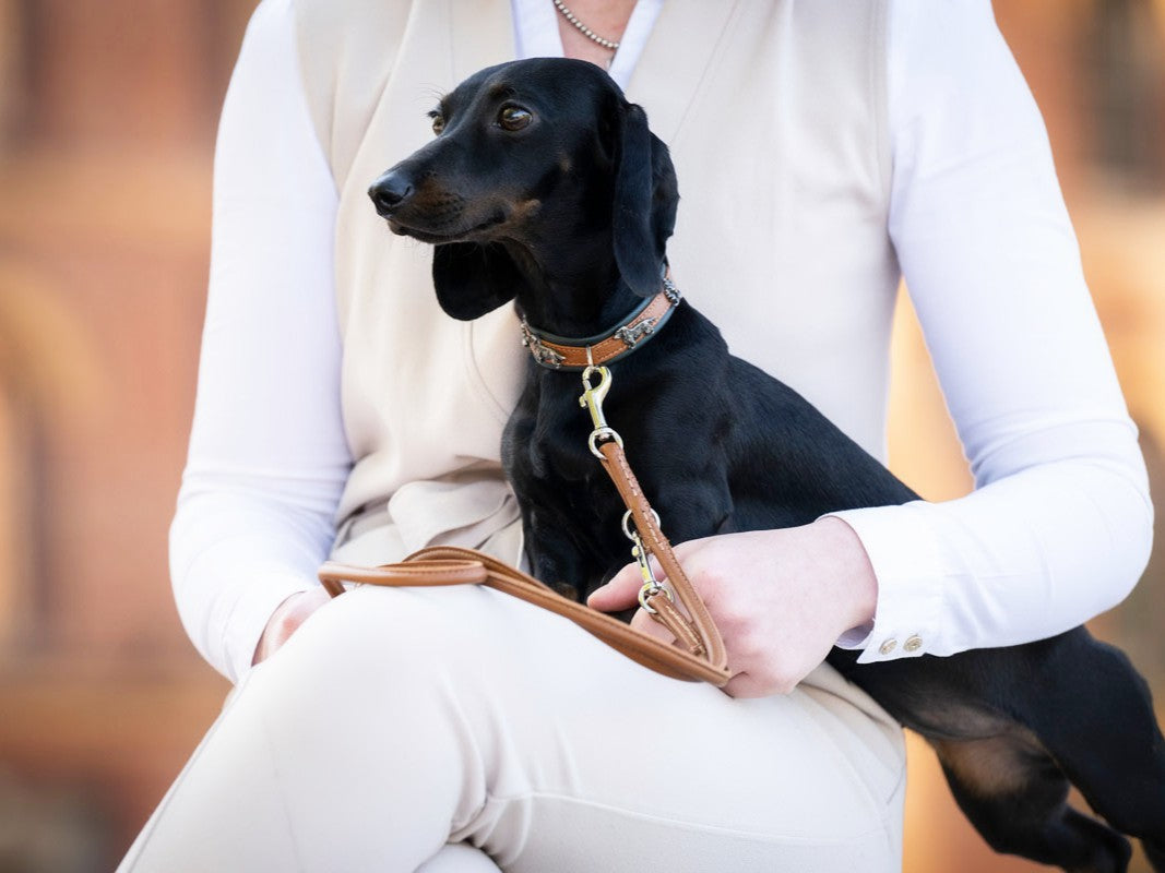 Halsband Mini Dackel