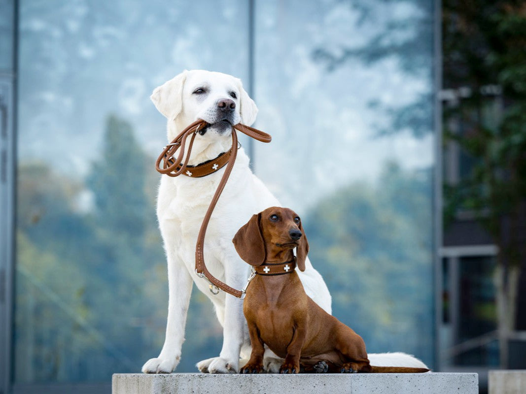 Halsband Schweizer Kreuz Nubukleder