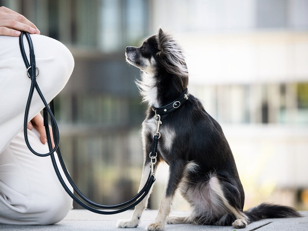 Halsband Mini Dark Diamond