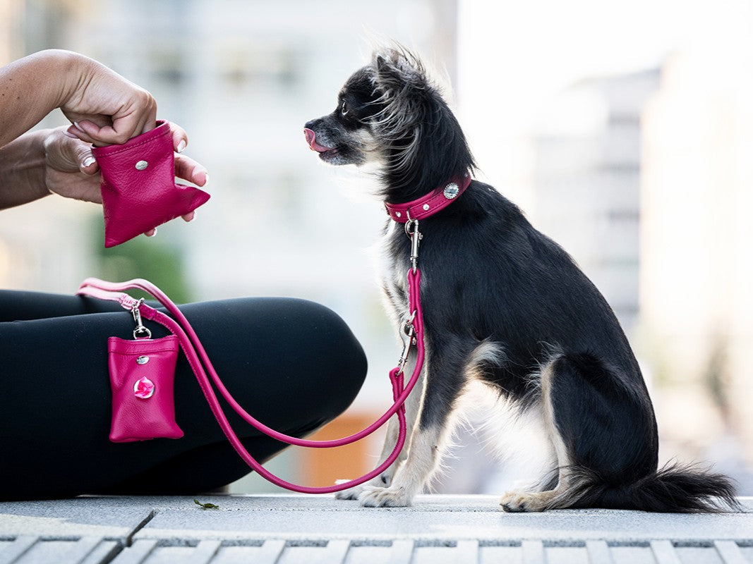 Halsband Mini Diamond Sunrise