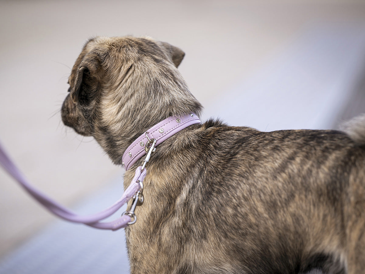 Halsband Mini Sunrise