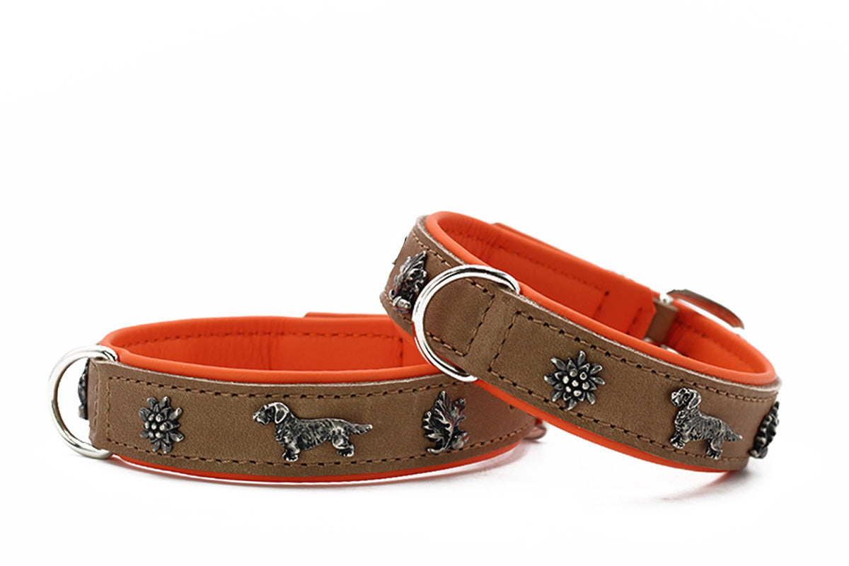 Halsband Klassik Premium Dackel