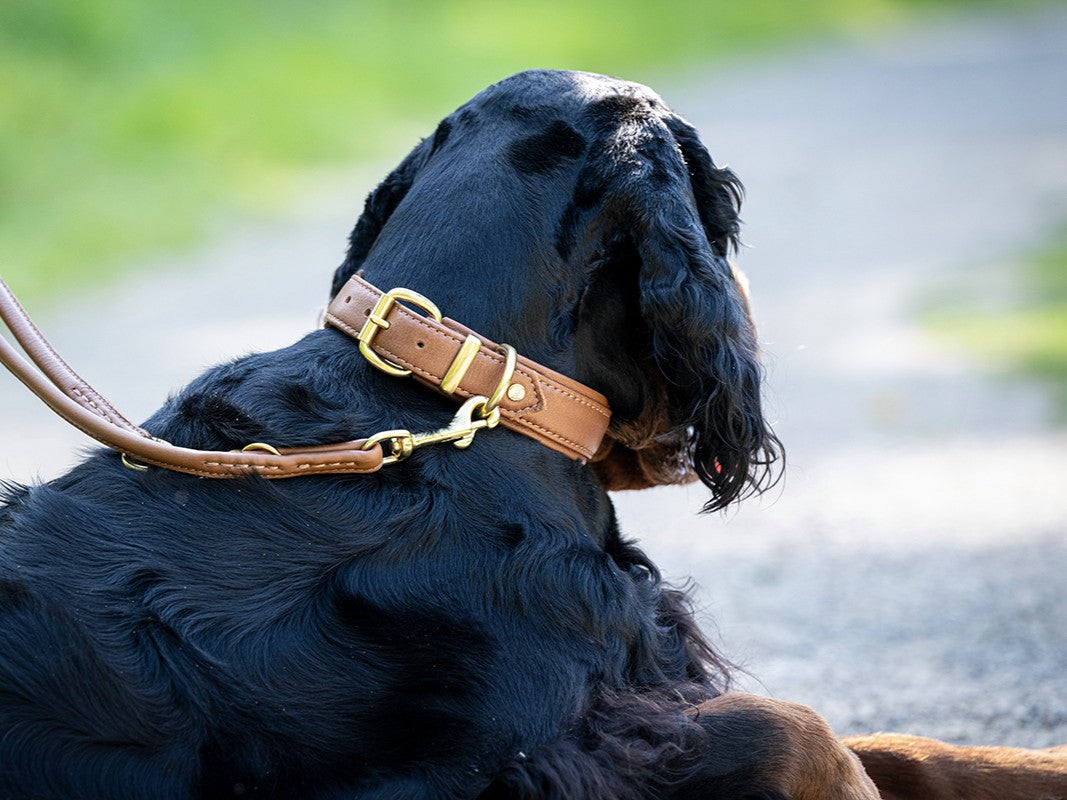 Halsband Klassik Soft Brauntöne