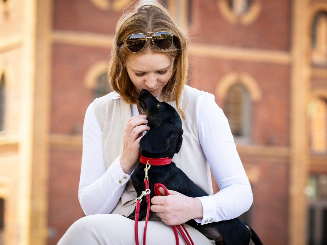 Halsband Mini Klassik