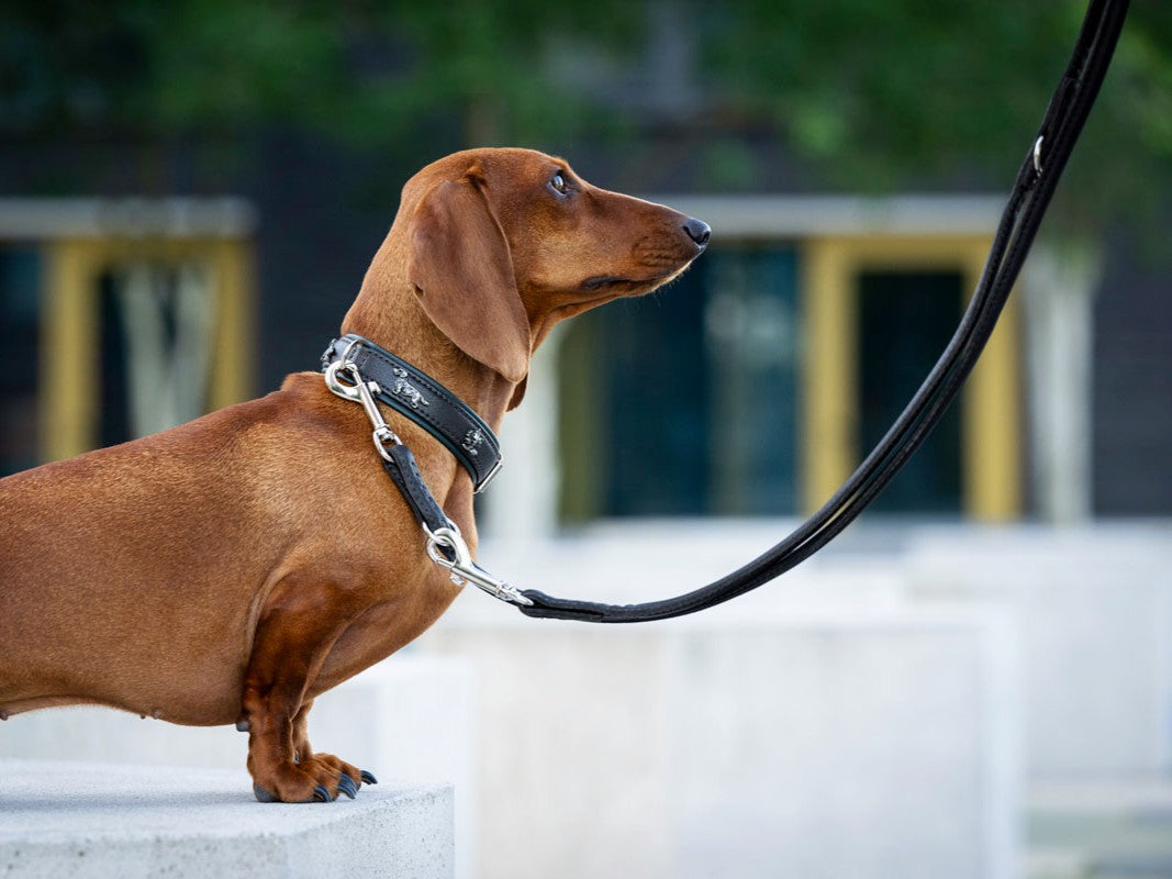 Lederleine Rundgenäht 2m Silber