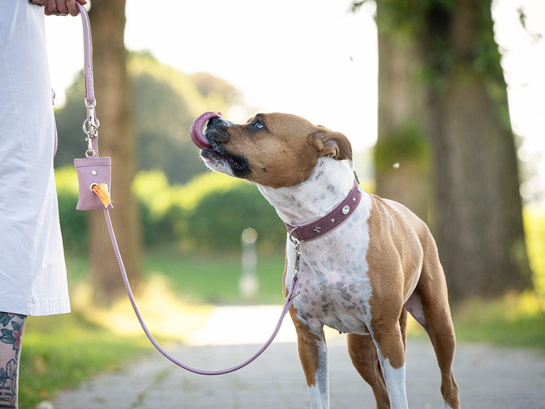 Lederleine Rundgenäht 2m Silber
