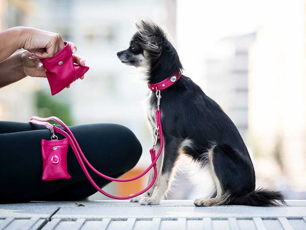 Lederleine Rundgenäht 2m Silber