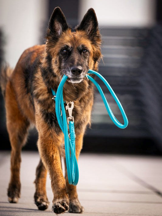 Lederleine Rundgenäht Holi Color