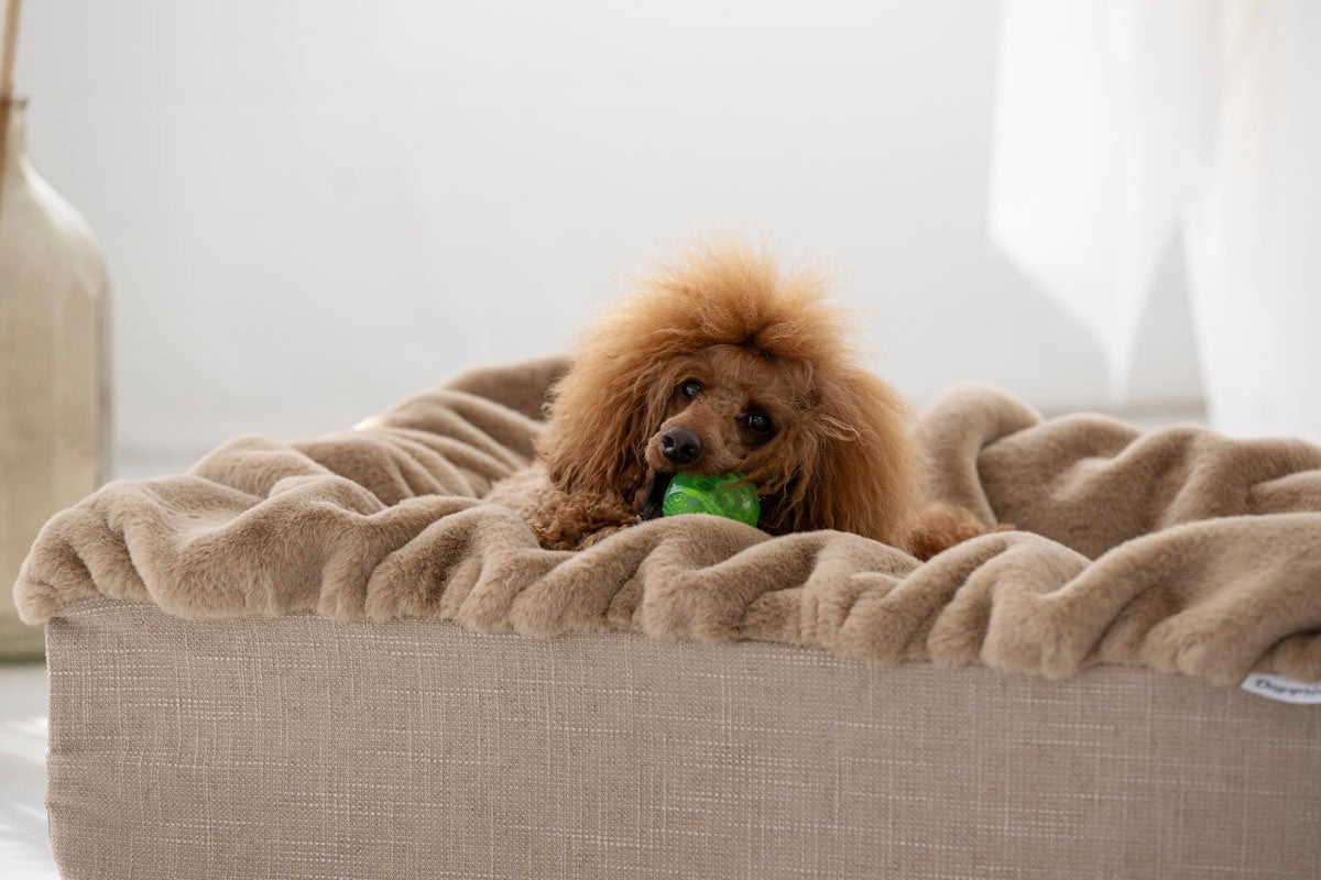 Hundebett Buddelbox Karamell