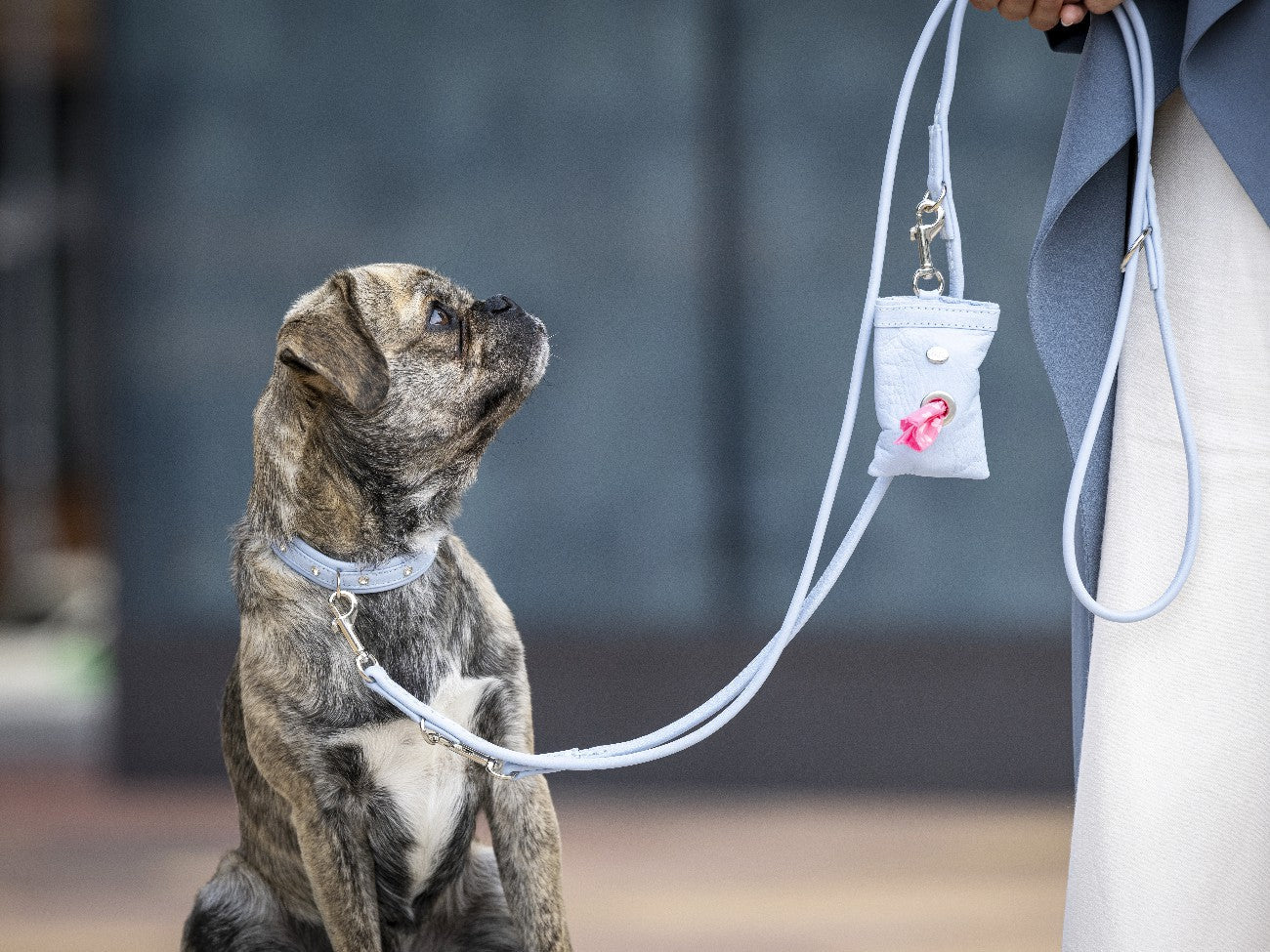 Lederleine rundgenäht Sunrise
