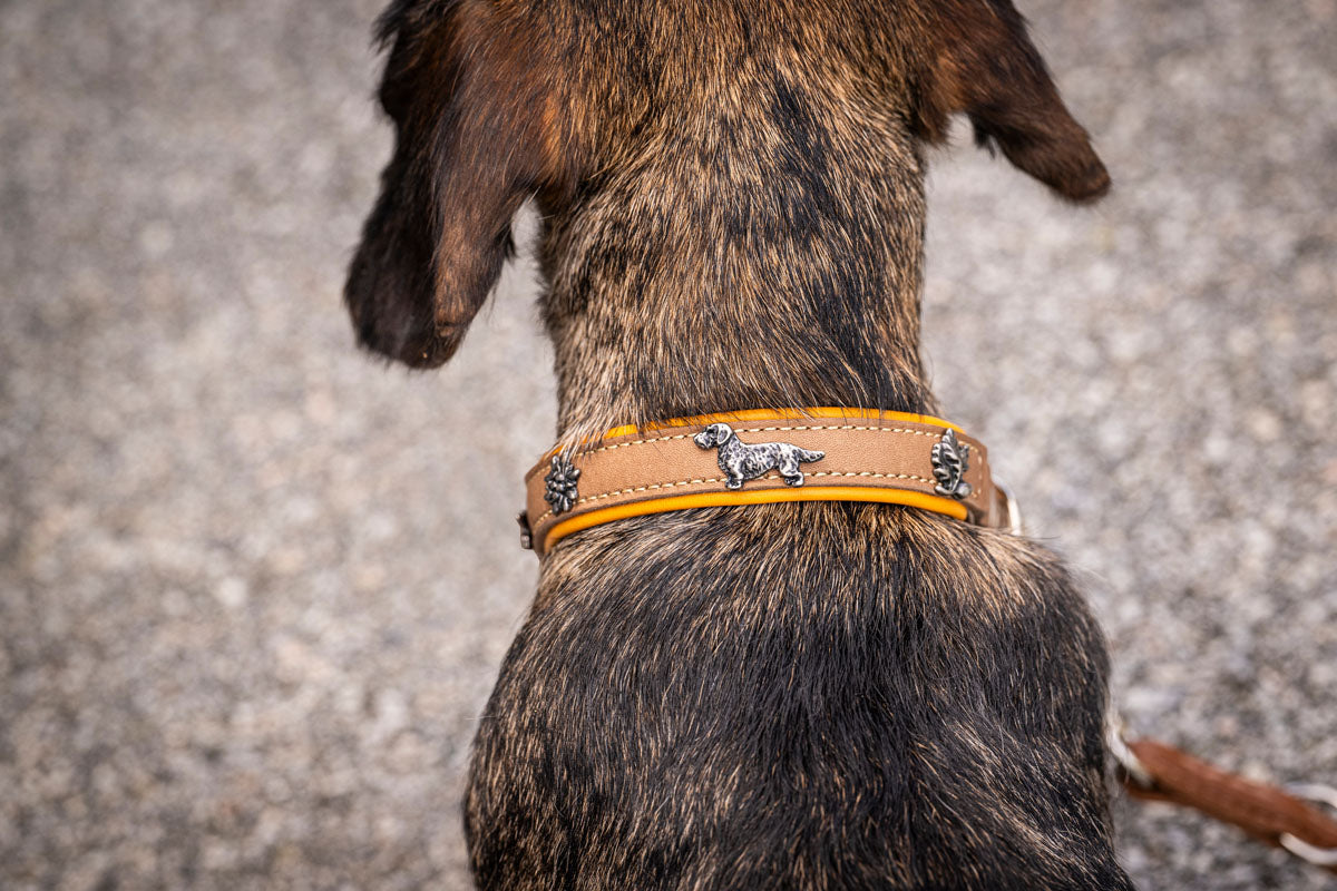 Halsband Klassik Premium Dackel