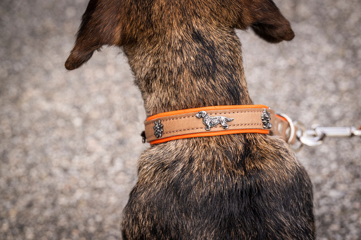 Halsband Klassik Premium Dackel