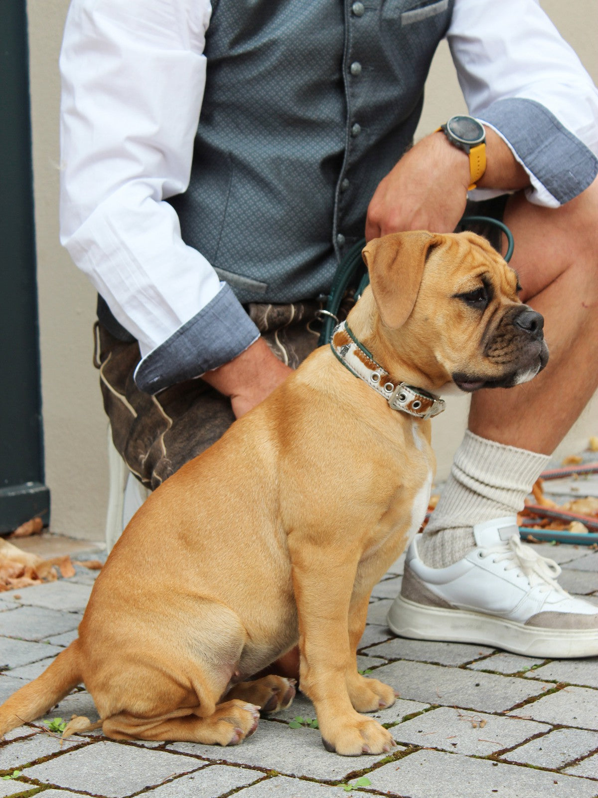 Halsband Wiesengaudi