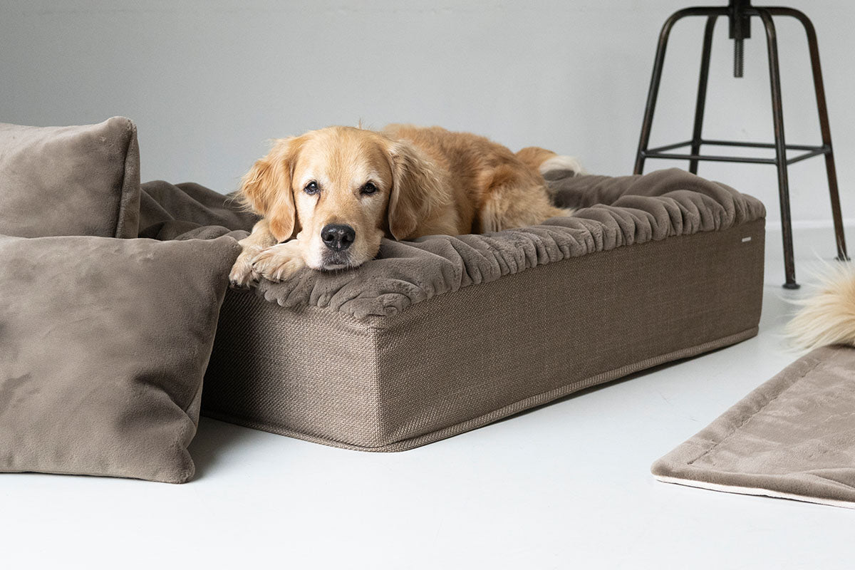 Hundebett Buddelbox®
