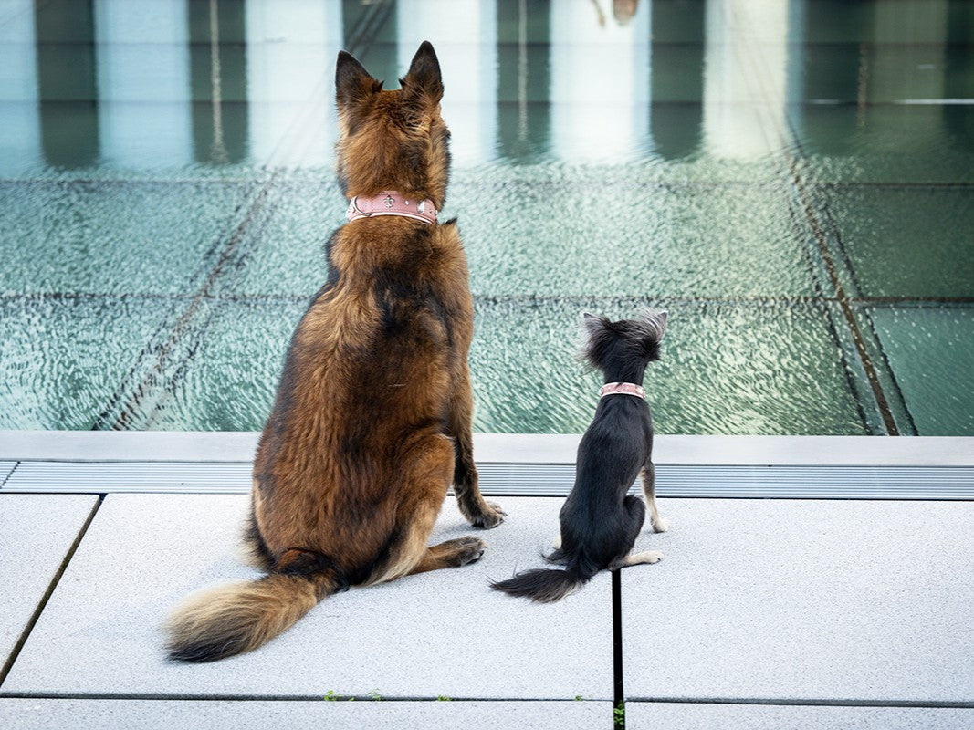 Halsband Mini Nesthäkchen