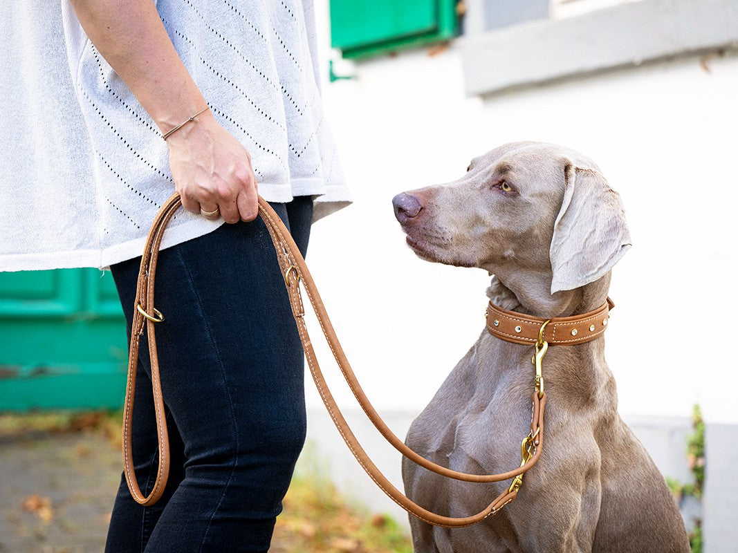 Lederleine Rundgenäht Old English