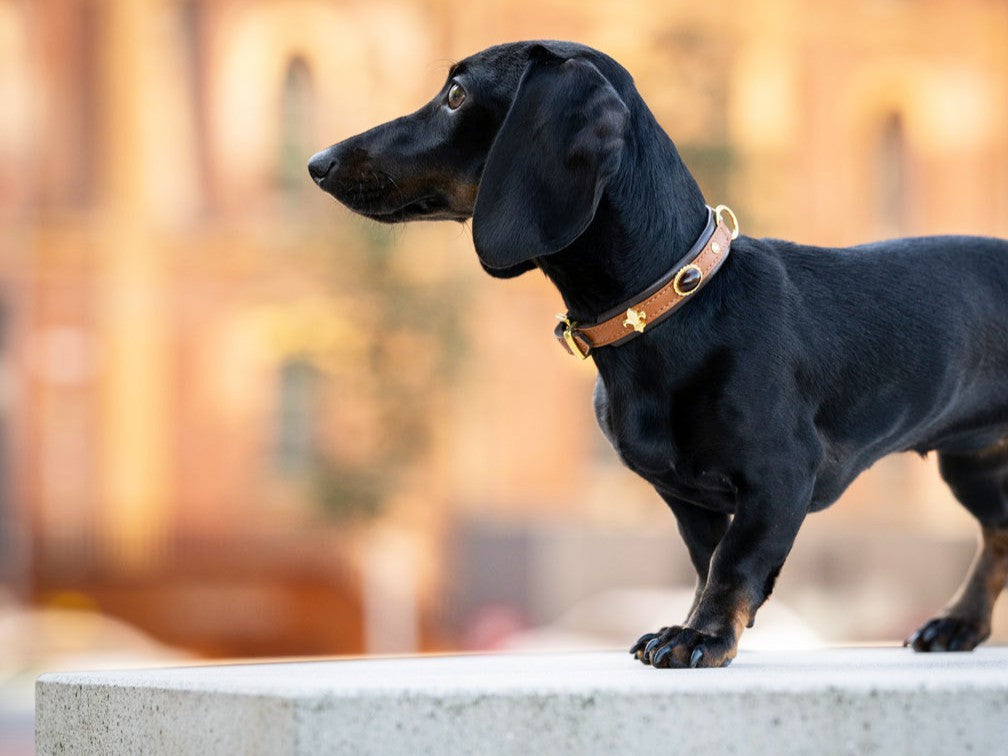 Halsband Mini Dark Diamond