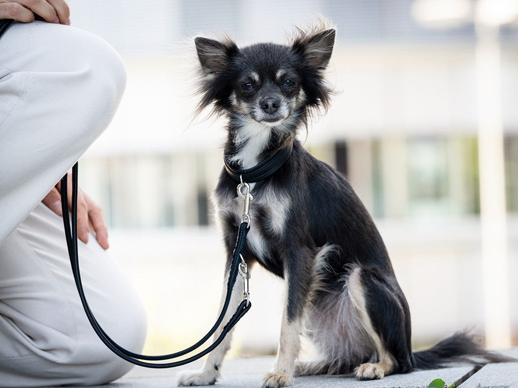 Lederleine Rundgenäht 3m Silber