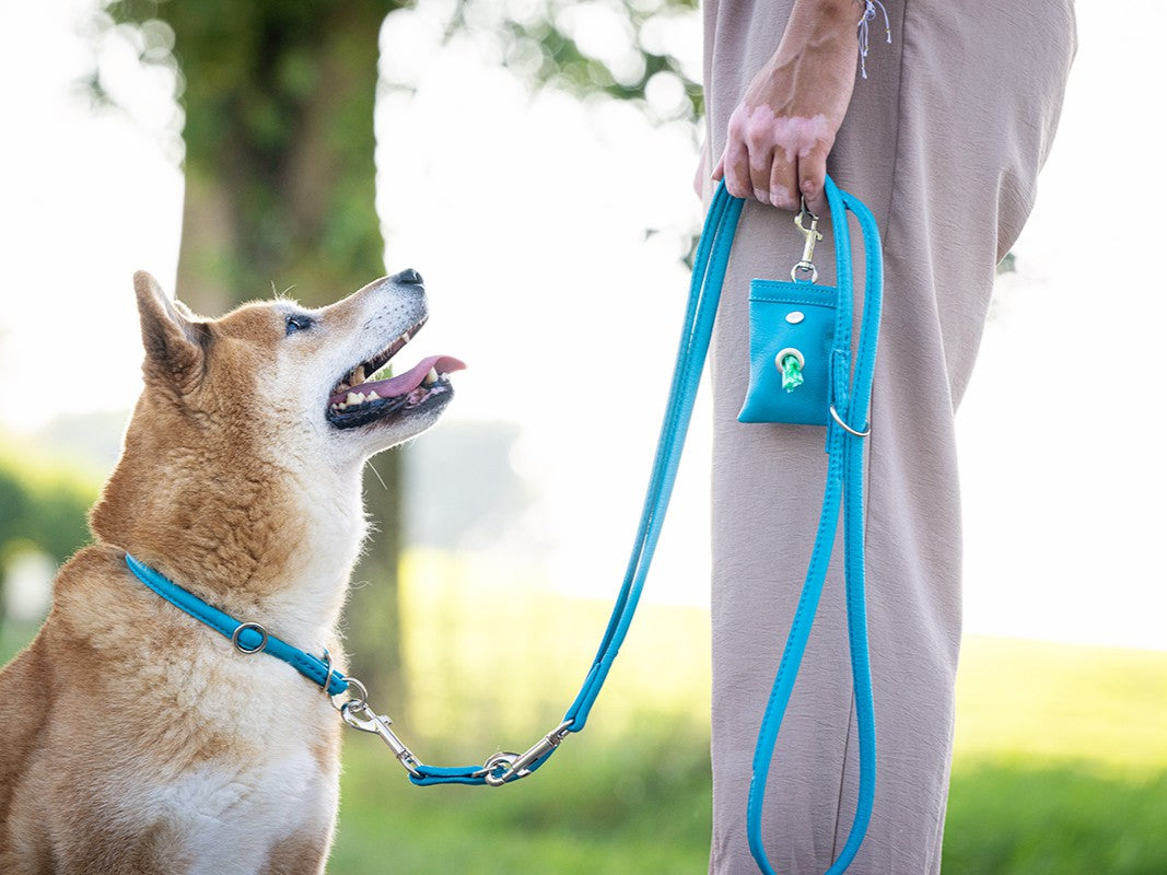 Lederleine Rundgenäht 2m Silber