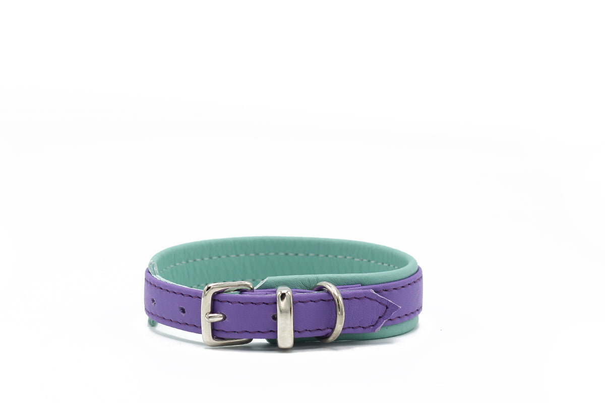 Halsband Spring Break