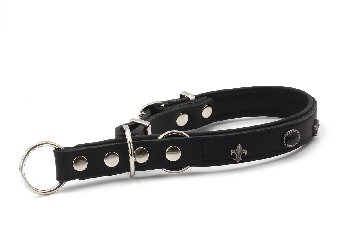 Zugstopp Halsband San Francisco