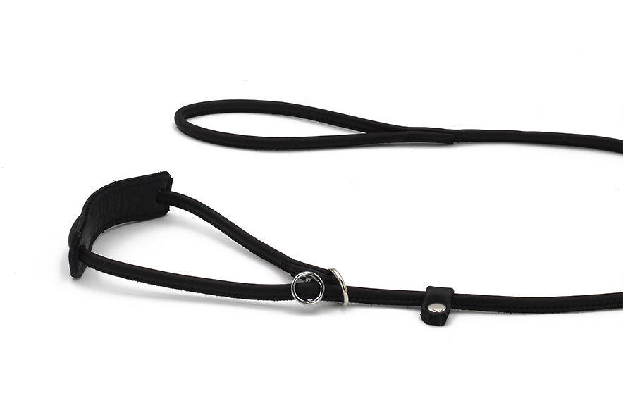 Showleine verstellbar für große Hunde