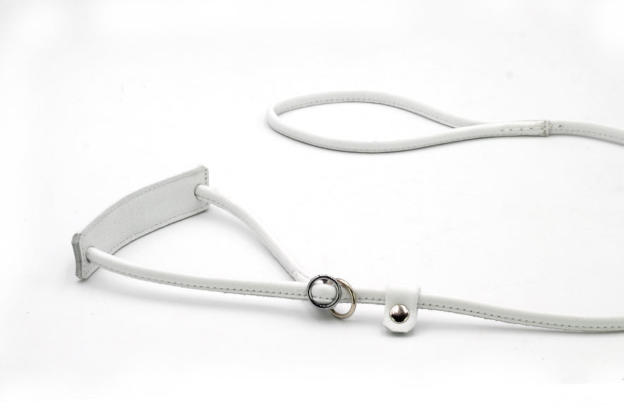 Showleine verstellbar für große Hunde