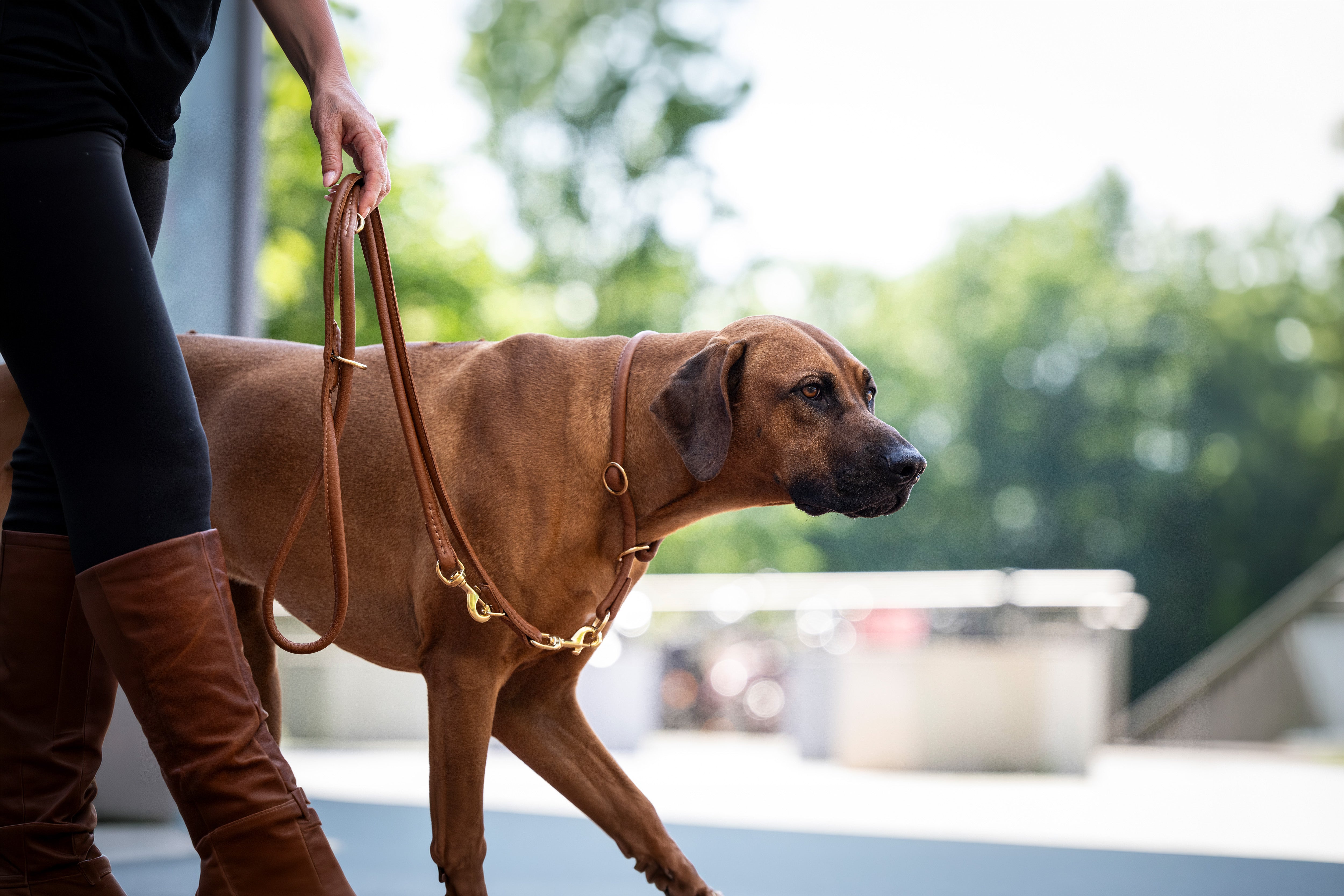 Rundgenähte Halsbänder