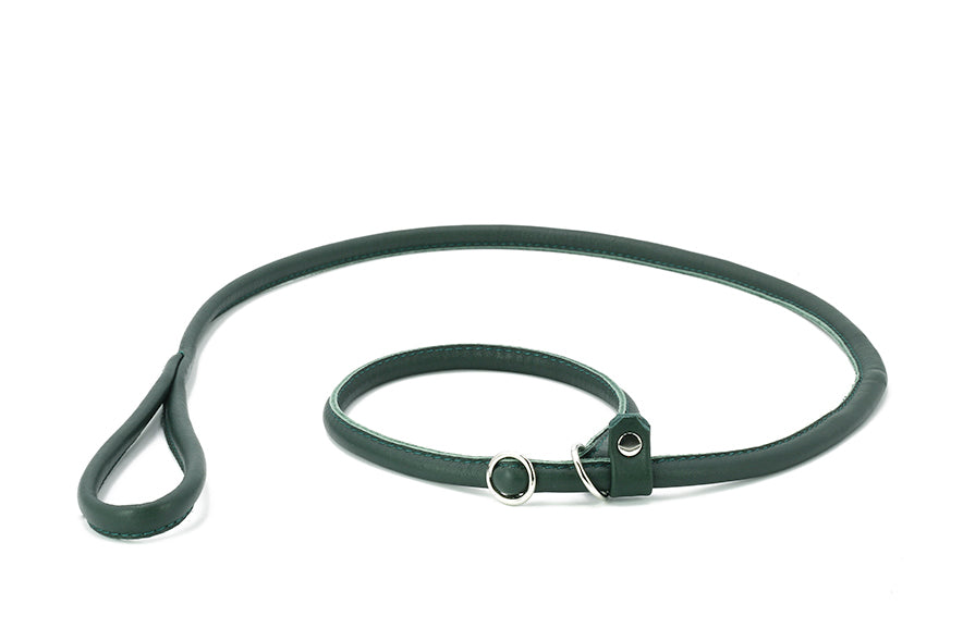 Retriever - Leine Grün