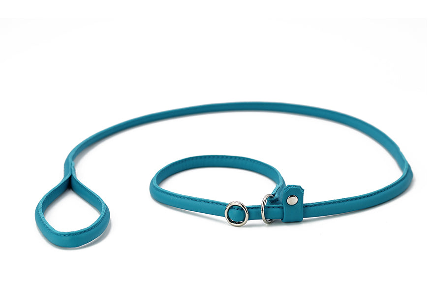 Retriever - Leine Petrol