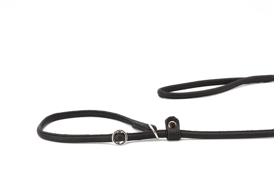 Showleine verstellbar für große Hunde