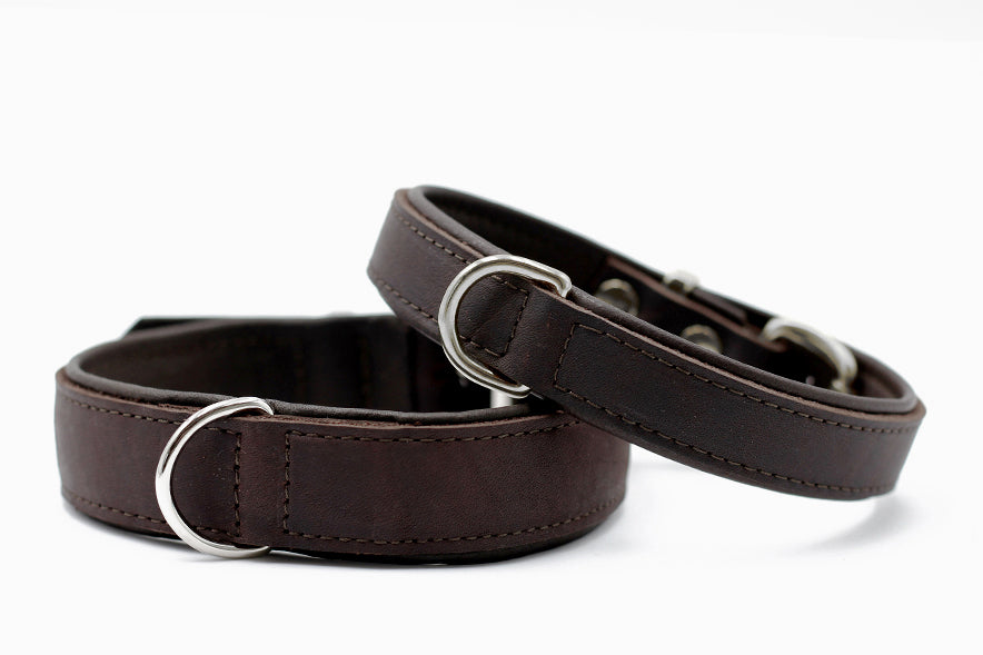 Halsband Klassik Premium