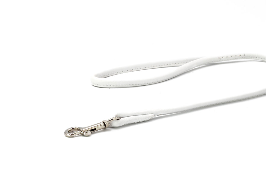 Showleine für große Hunde